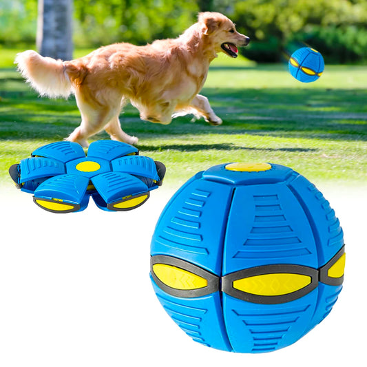 Doggy disc Ball Interactive Flying Saucer